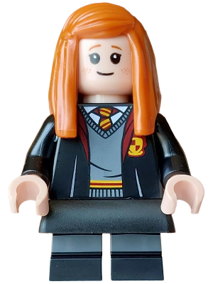 Minifig hp627