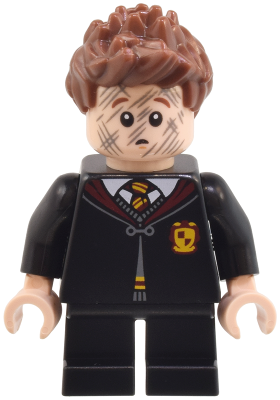 Minifig hp491