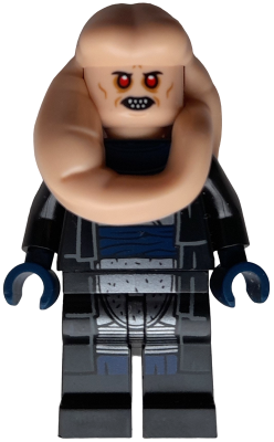 Minifig sw1383